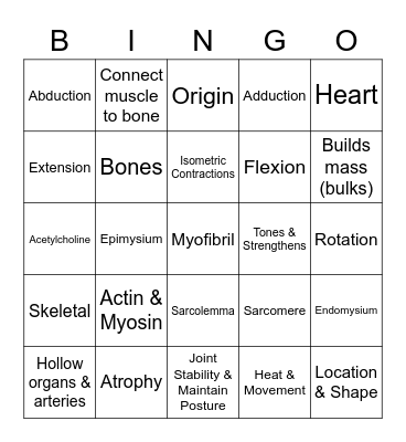 Muscular System Bingo Card