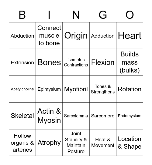 Muscular System Bingo Card