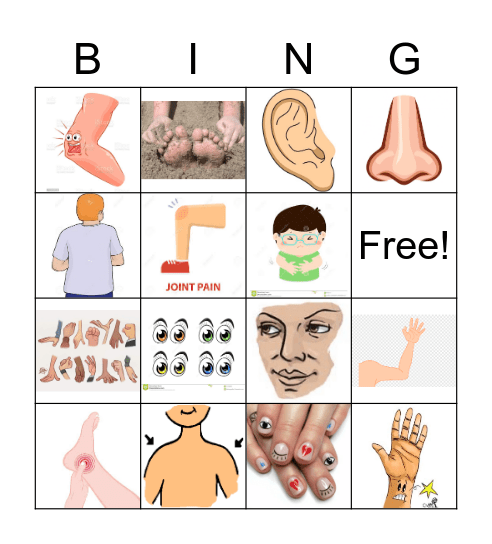 Las Partes del Cuerpo Bingo Card