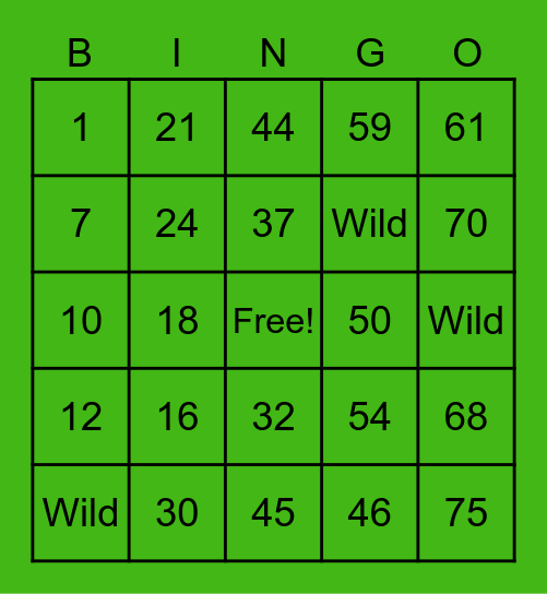 Parkvue Gone Wild!! Bingo Card