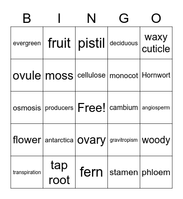 Plants Bingo Card