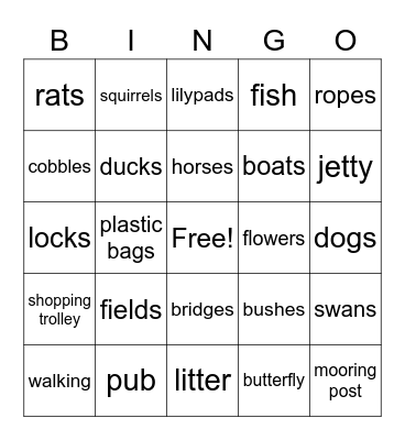 Canals Bingo Card