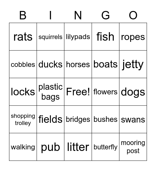 Canals Bingo Card