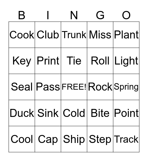 Multiple Meaning Words Bingo Card