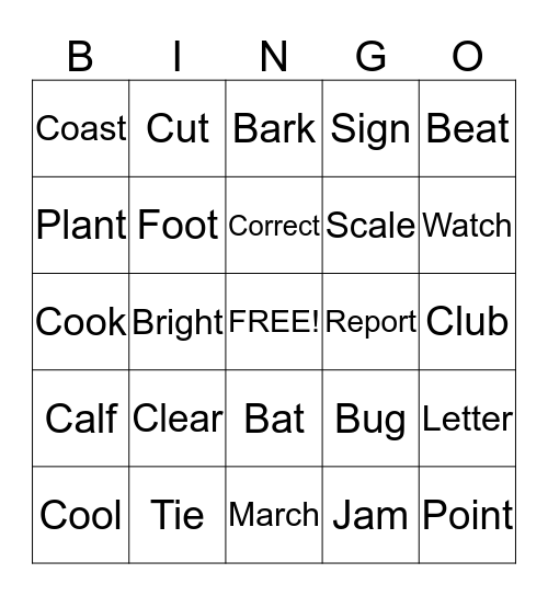 Multiple Meaning Words Bingo Card