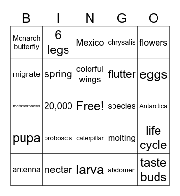 Butterfly Bingo Card