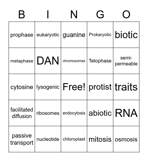 Biology STAAR Review Bingo Card