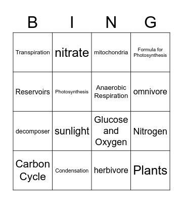 Unit 6 Lessons 1-3 Bingo Card