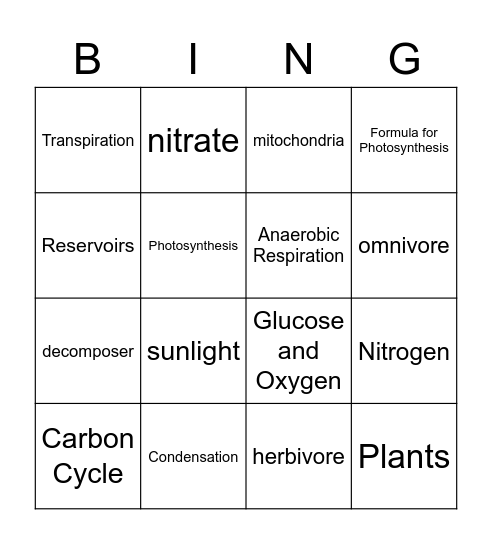 Unit 6 Lessons 1-3 Bingo Card
