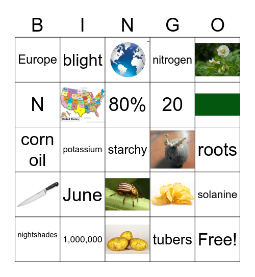 Potatoes Bingo Card