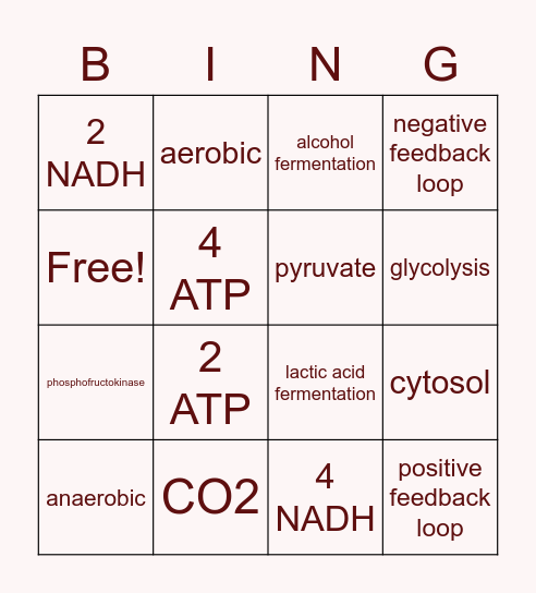 Glycolysis Bingo Card