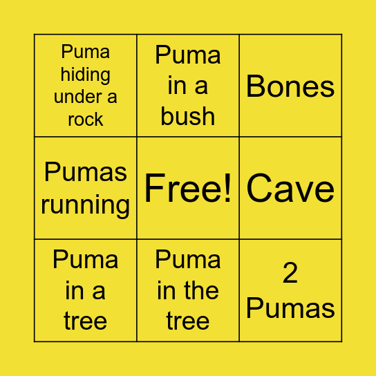 Puma enclosure bingo Card