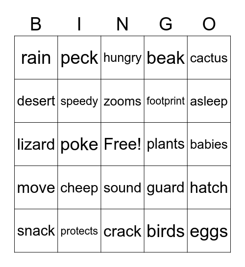 The Roadrunners Bingo Card
