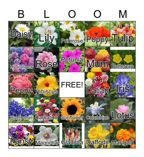 Spring Blooms 🌷 Bingo Card