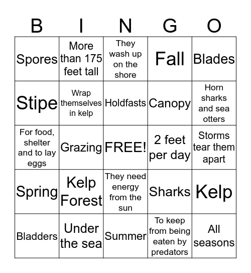 Seasons in the Kelp Forest Bingo Card