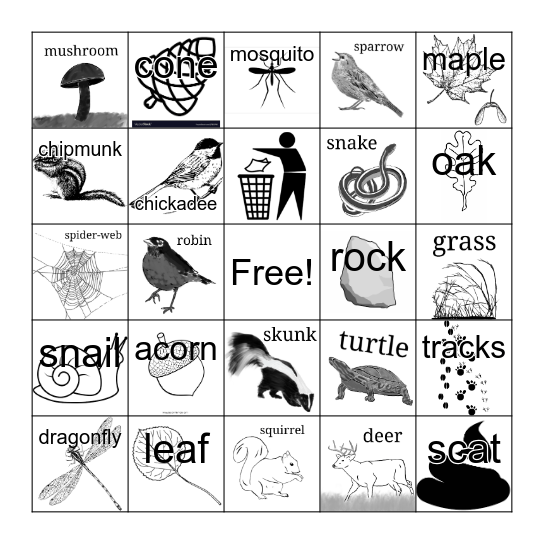 Nature Bingo Card