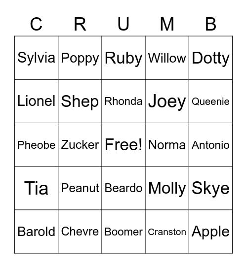 DREAM ADDRESS BINGO Card