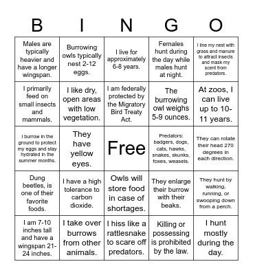 The Burrowing Owl Bingo Card