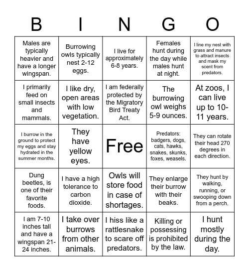 The Burrowing Owl Bingo Card