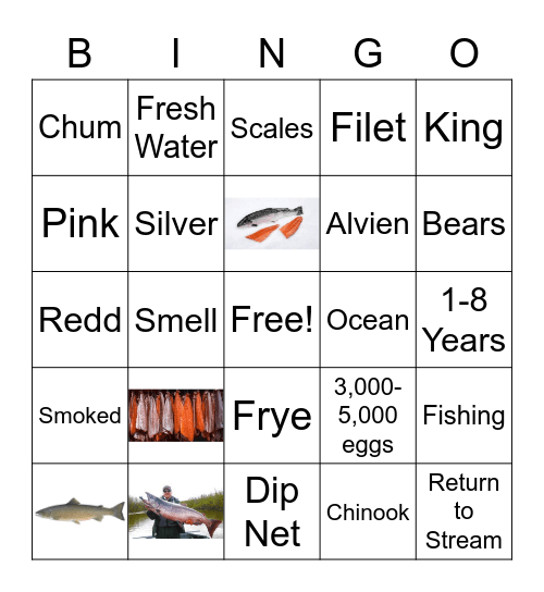 Salmon Bingo Card