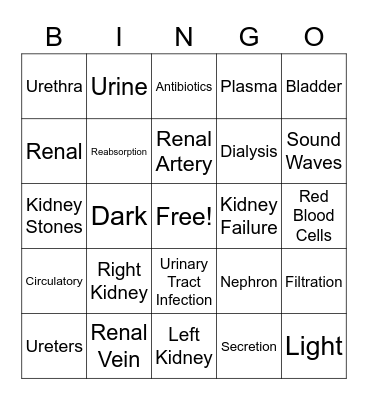 Urinary System Bingo Card