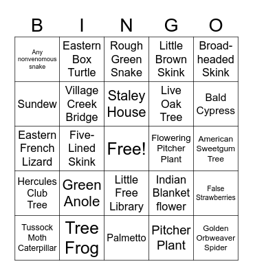 Big Thicket Nature Preserve Bingo Card