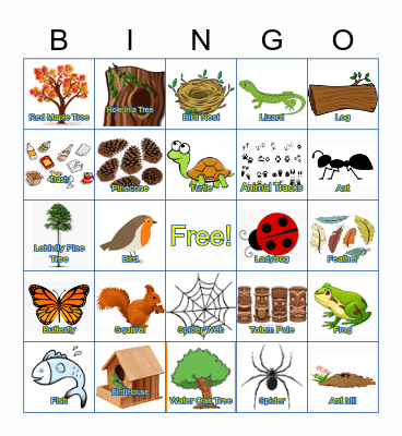 Nature Bingo Card