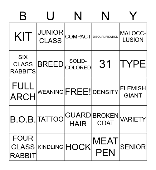 Bingo Card