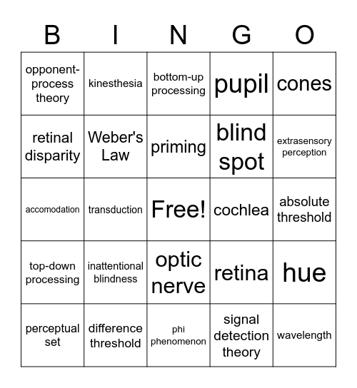 Sensation and Perception Bingo Card