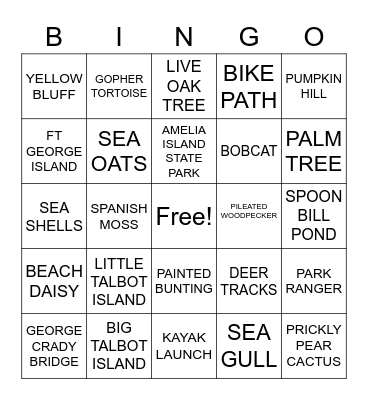 THE 7 PARKS OF TALBOT ISLANDS Bingo Card