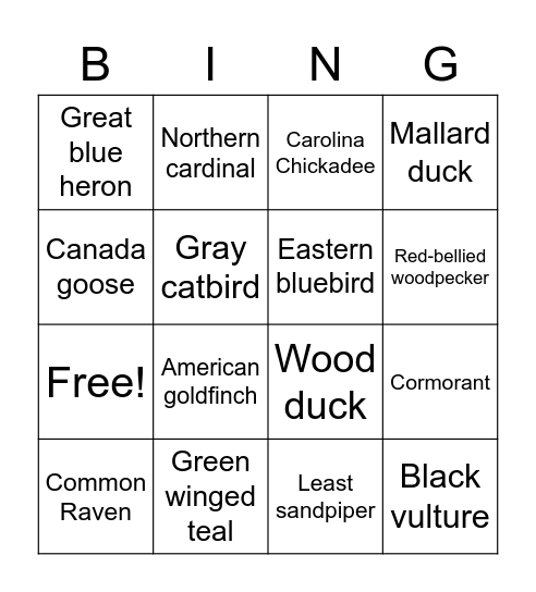 Sandy Creek Park Bird Bingo Card