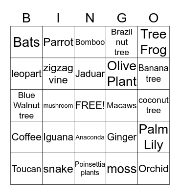 Under The Canapy Bingo Card
