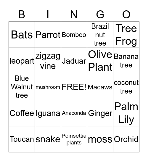 Under The Canapy Bingo Card