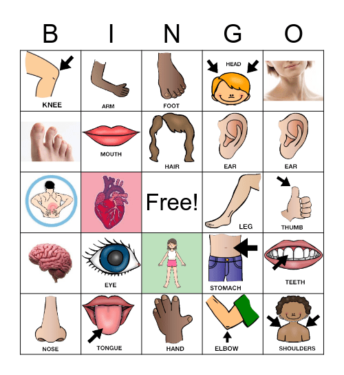 Body Parts Bingo Card