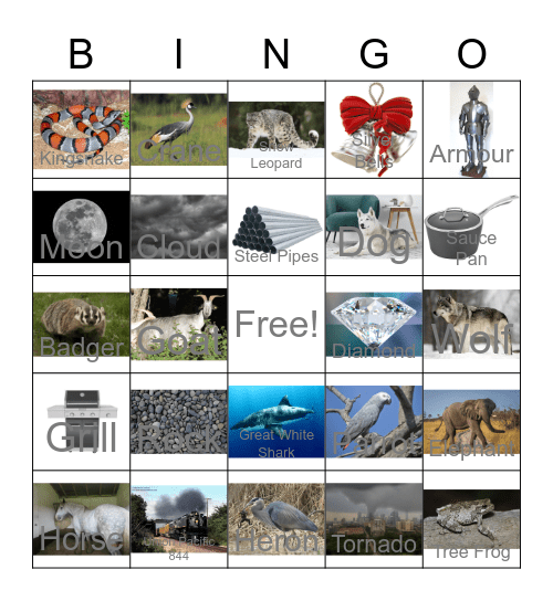 Dogs and other Grey related stuff Bingo Card