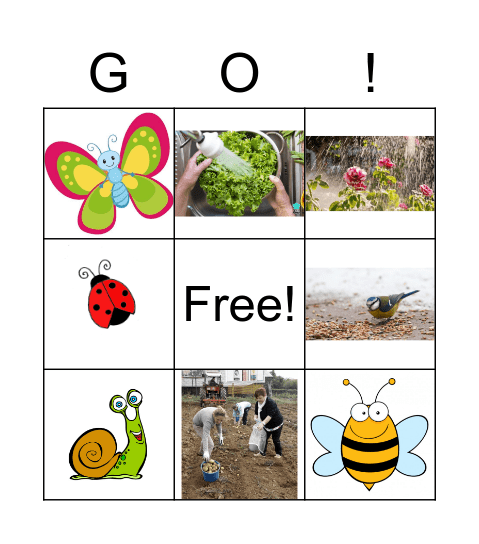 In the garden Bingo Card