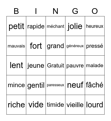 Les Adjectifs Bingo Card