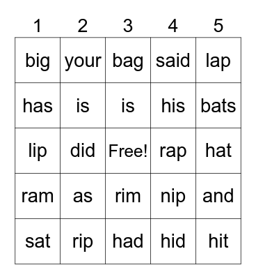 Short a/i Bingo Card