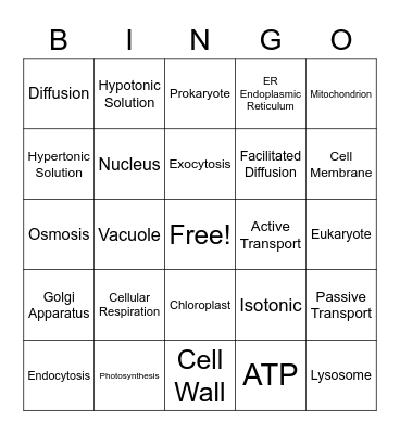 Cells and Cell Function Bingo Card