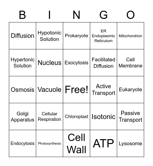 Cells and Cell Function Bingo Card
