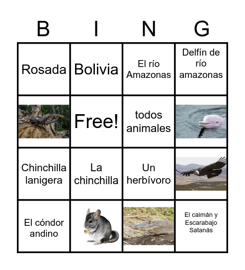 La Biodiversidad en los Países Hispanohablantes Bingo Card