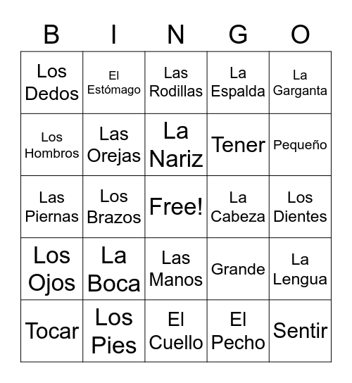 El Cuerpo Humano Bingo Card