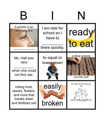Up in the Garden and Down in the Dirt BINGO Card