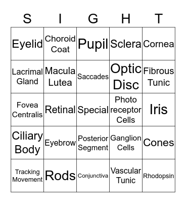 Special Senses-Eye Bingo Card