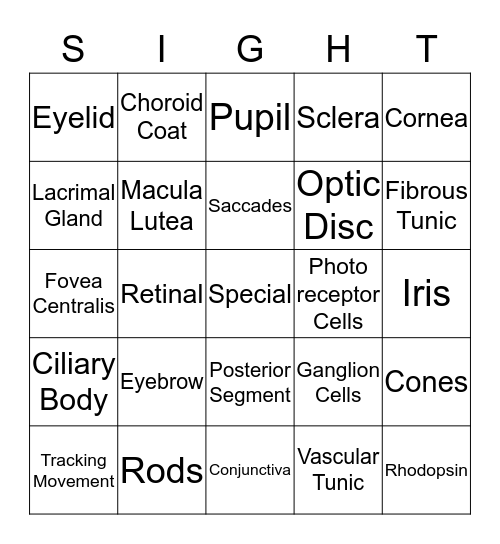 Special Senses-Eye Bingo Card