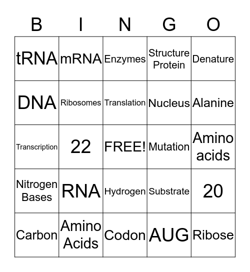 DNA and Protein synthesis  Bingo Card