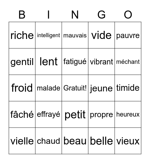 Les Adjectifs Bingo Card