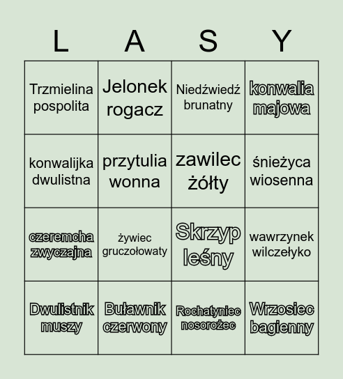 ŻYCIE LASU - BINGO! Bingo Card