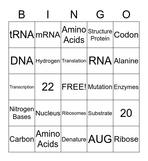 DNA and Protein synthesis  Bingo Card