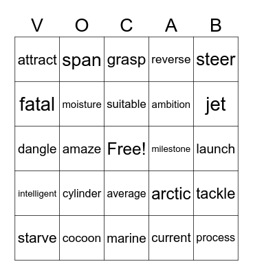 Vocabulary Bingo Card